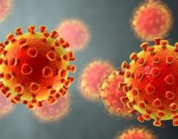  В России впервые с 28 октября за сутки выявили менее 17 тыс. заразившихся коронавирусом