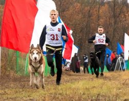 В Пензе владельцы ездовых собак готовятся к зимним гонкам