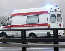 Под Пензой на трассе М5 погибла 81-летняя женщина