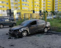 В сети появилась фотография сгоревшего автомобиля в Спутнике