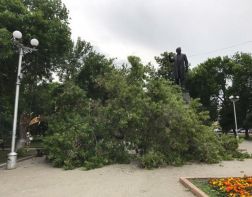 В Пензе ураган уронил дерево на Белинского