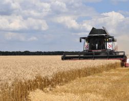 В Пензенской области убрали более 200 тонн зерновых