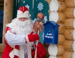 Роспотребнадзор организует доставку писем Деду Морозу