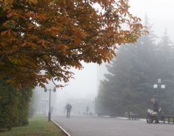 26 сентября в Пензе ожидаются заморозки и туман 