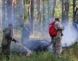 Нынешней весной в пензенских лесах потушили 13 пожаров
