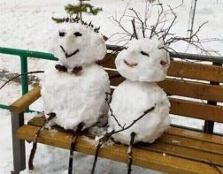 Пензенцы делятся в соцсетях фото снеговиков