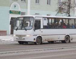 Новый автобусный маршрут свяжет Арбеково со Спутником 