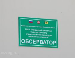В  Леонидовке создан  обсерватор для вернувшихся из-за границы пензенцев