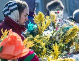 К 8 марта в Пензе откроются цветочные ярмарки