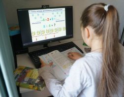 С 6 апреля пензенские школы переходят на дистанционное обучение