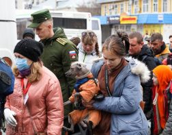 Пенза приняла еще более 500 эвакуированных жителей Донбасса