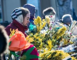 К 8 Марта в Пензе открылись цветочные ярмарки