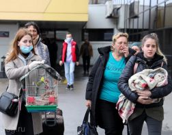 Беженцы с Донбасса привезли в Пензу 42 кота и 38 собак