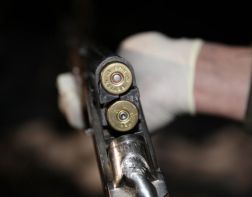 СК опубликовал фото оружия, из которого пенсионер убил двух женщин