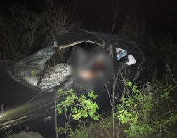 Житель Пензенской области погиб после ДТП с лосем