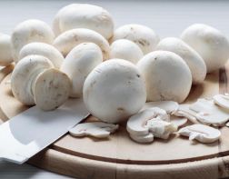 В Пензенской области нарастили производство грибов