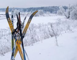 Пензенцы пройдут марафон в 42 км на лыжах