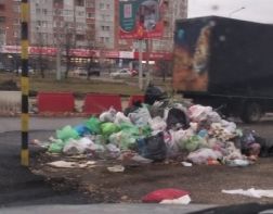 Пензенцы жалуются на гору мусора в Арбекове