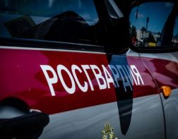 Жительница Пензы украла тележку с продуктами на 5 тыс рублей