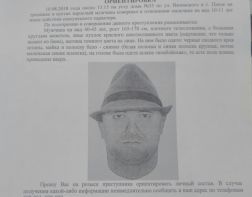 Пензенские следователи ищут педофила с улицы Вяземского 