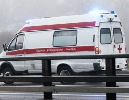В Кузнецком районе 27-летний мужчина погиб в опрокинувшемся авто