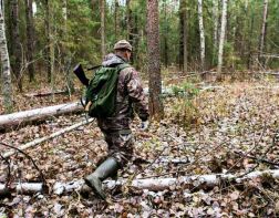 Жителей Пензенской области призвали отказаться от весенней охоты