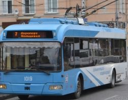 В Пензе со 2 апреля приостановили движение троллейбусов