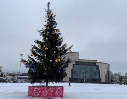 На Юбилейной площади впервые установили новогоднюю елку