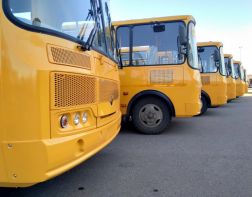 ﻿12 районов Пензенской области получили новые школьные автобусы 