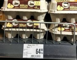 В российских магазинах стали продавать яйца по 9 штук