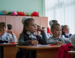 Две пензенские гимназии вошли в топ-500 школ России