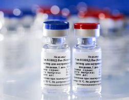 Евросоюз начал экспертизу вакцины "Спутник V"