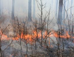 В 13 районах Пензенской области введен особый противопожарный режим