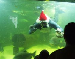 Пензенских детей поздравил Дед Мороз – аквалангист