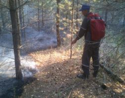 По итогам проверки Пензенская область готова к пожароопасному сезону