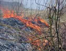 В Пензенской области за три дня выгорело 10 гектаров травы