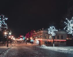 ﻿﻿К Новому году на улице Лермонтова появятся светящиеся ласточки