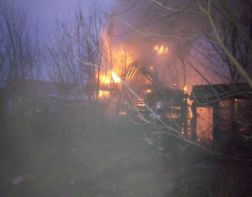 Появились фотографии сильного пожара в Пензенской области