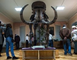 В Пензенской области состоится акция бесплатного посещения музеев