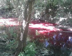 Багровая река-2: Пензятка снова приобрела красный цвет