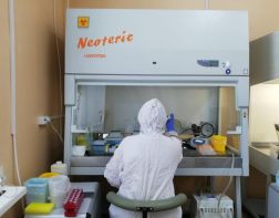 В Пензенской области коронавирусом заразились еще 38 человек