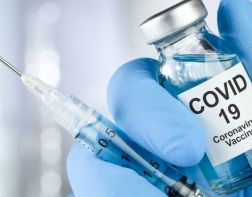 Роскачество предостерегло от покупки вакцин от коронавируса в интернете