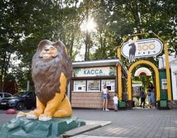 Пензенский зоопарк перешел на осенний режим